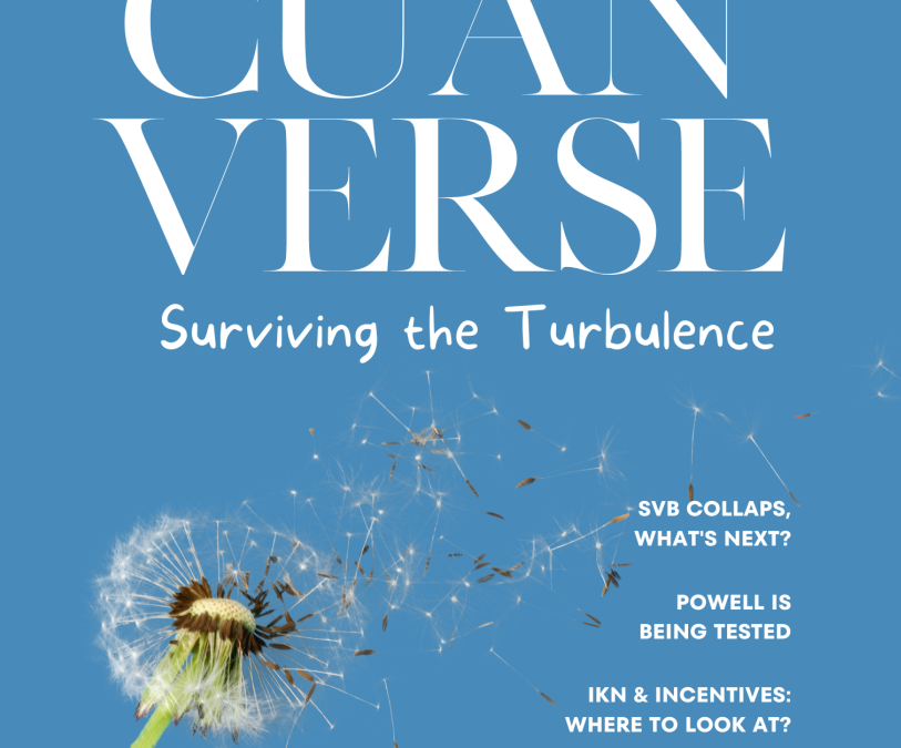 Surviving The Turbulence